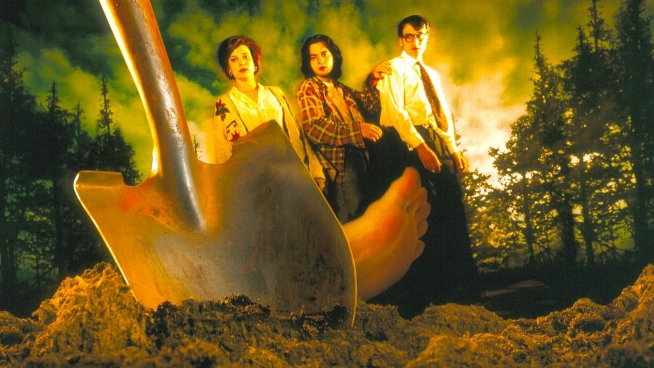 Неглибока могила