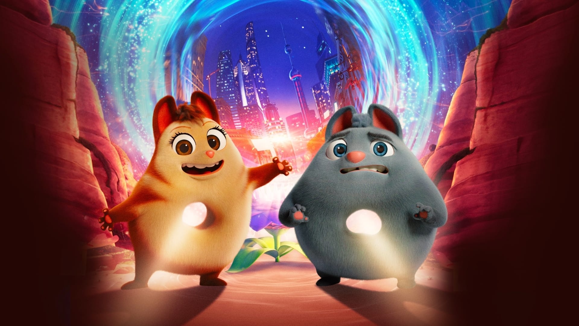 Пончари. Глобальне заокруглення