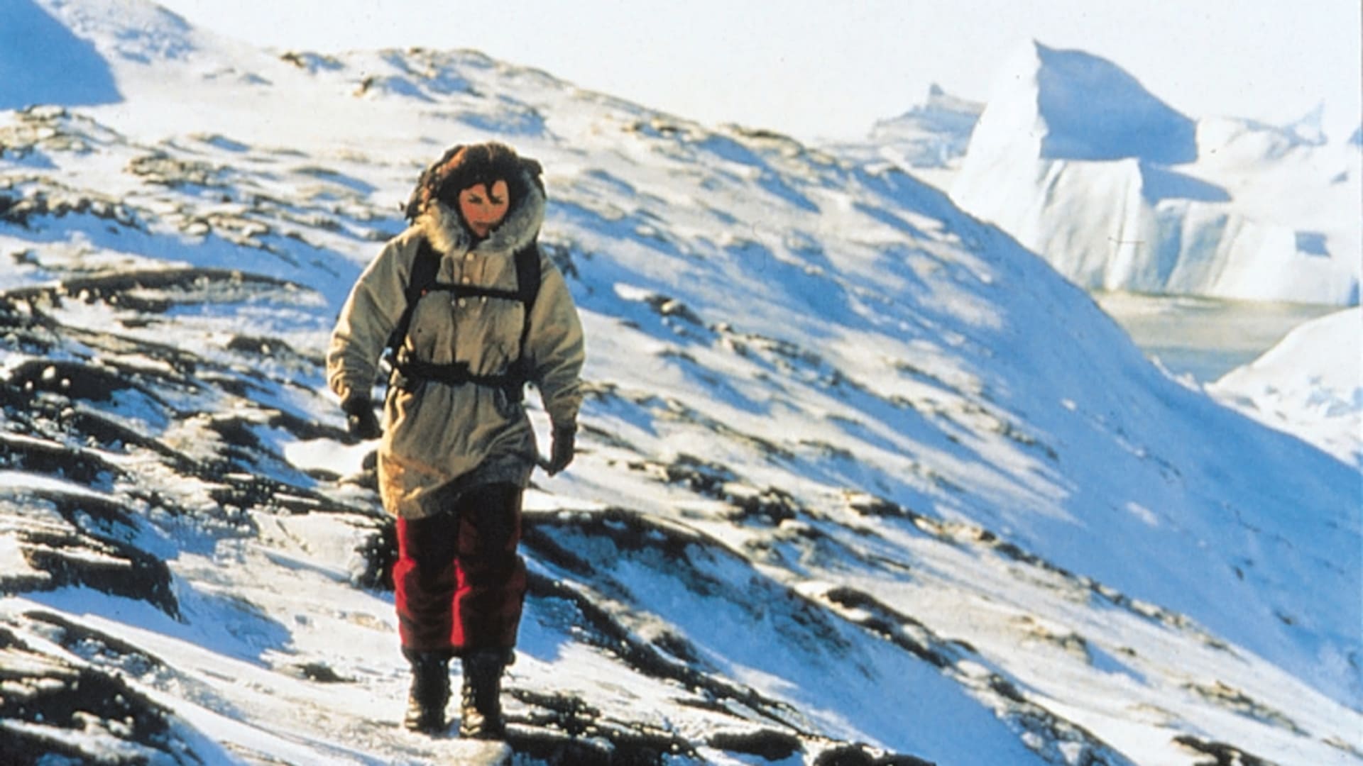 Снігове чуття Смілли