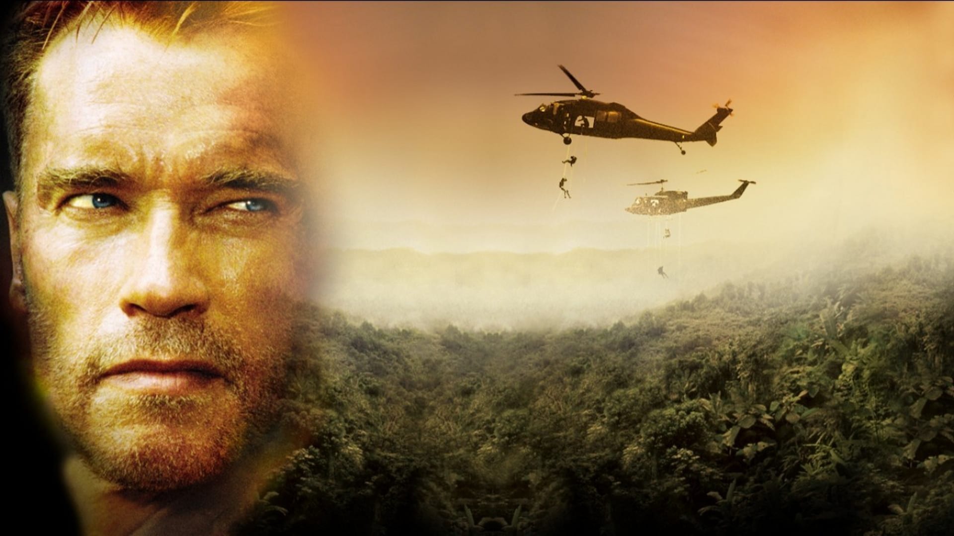 Відшкодування збитків